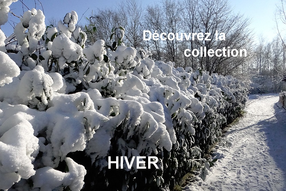 Collection Hiver