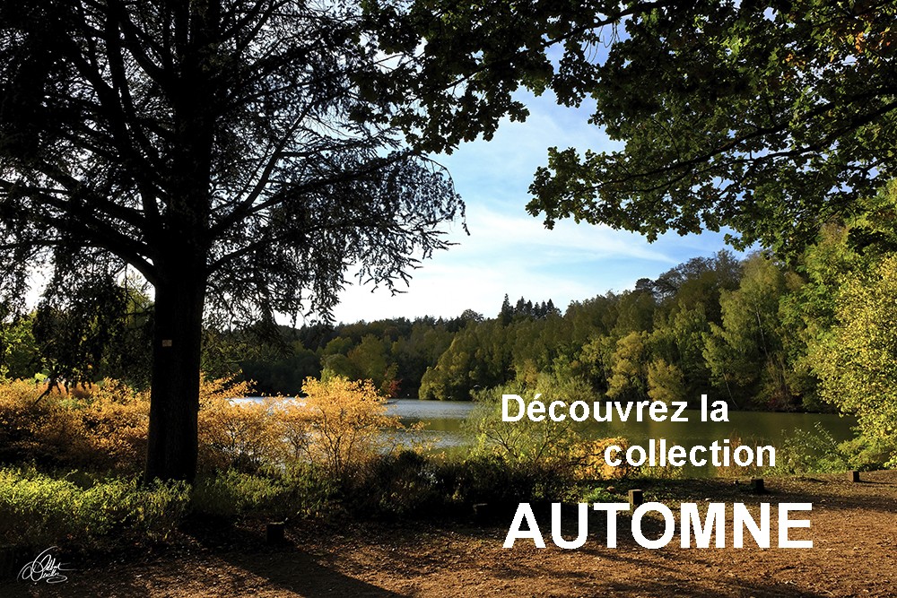 Collection Automne